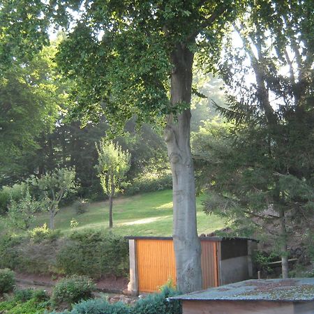 Ferienwohnung Sauerland Panorama Korbach Dış mekan fotoğraf