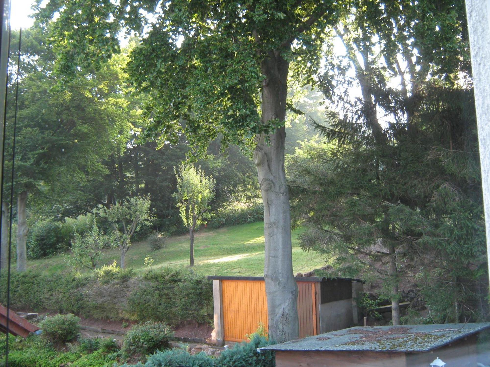 Ferienwohnung Sauerland Panorama Korbach Dış mekan fotoğraf